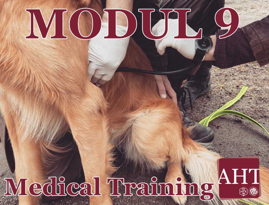Medical Training – Nachprüfung